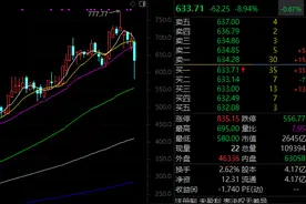 突发大跳水，寒武纪-U盘中跌近17%，发生了什么？图片