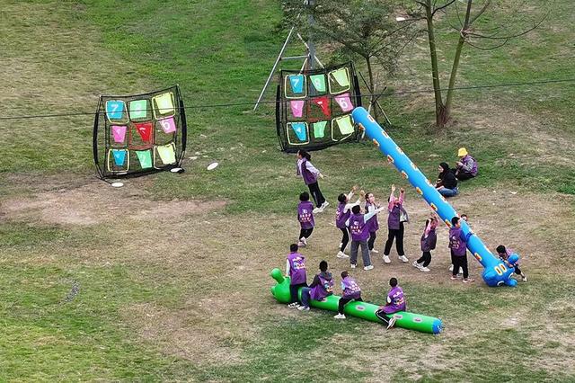 美翻！万亩稻田“丰”景藏不住了，11月23日高明稻马见～