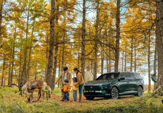 欢迎来到，秋天的廊道