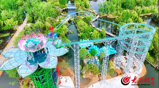 滕州微山湖红荷湿地献礼教师节：免门票+免费体验，五市教师速来！
