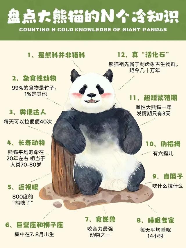 【2026成都冬令营】雪韵蓉趣，嗨玩蜀冬：解锁巴适成都生活！