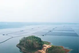 开征碳税，东南亚多国加速绿色发展（环球热点）图片