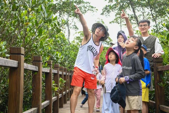 暖冬“追鸟”去！在海口美兰，邂逅灵动之美~
