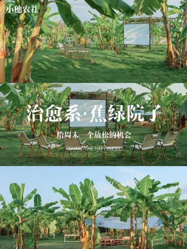 是时候回村了！来南宁共享田园慢生活，共赏万亩灯海