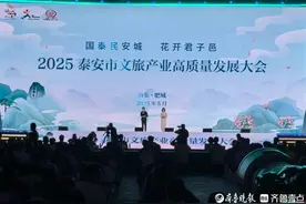 2025泰安市文旅产业高质量发展大会在肥城开幕，共绘“泰山+”文旅融合新画卷图片