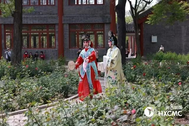 文化惠民，乐享双节！这个“十一”，我在河西等你