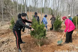 全家一起种树！40组志愿者种下希望的树苗图片