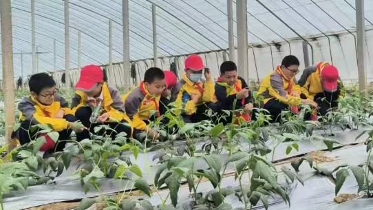 @新生们！开学季福利MAX！50+优惠带你玩转济南