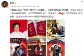 金星宣布和汉斯重新登记结婚，18年前曾因孩子户口问题离婚图片