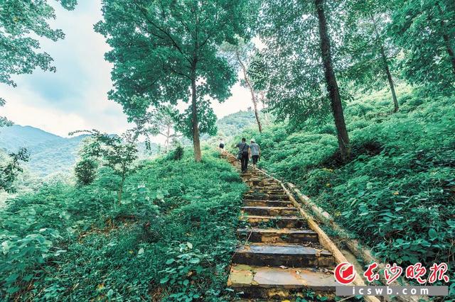 登月山，知宁乡 | 翻山阅岭——山水洲城·探山大型融媒体调查报告⑦