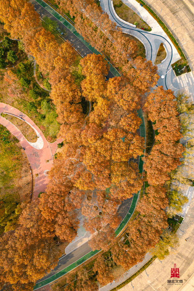 寒潮倒计时！再不来就迟了