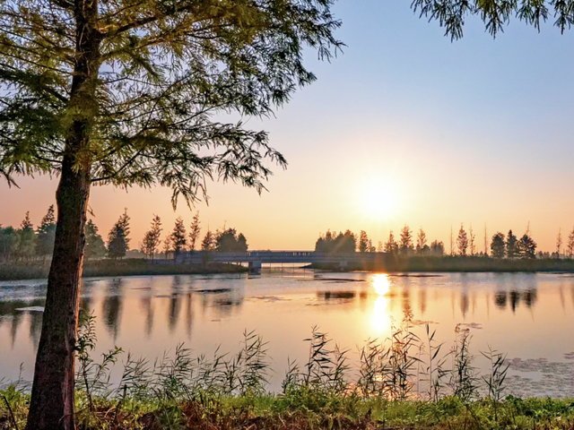 上海工会会员服务日来啦！第一波上线：光明田原与瑞华果园最佳草莓采摘季！免门票、85折！