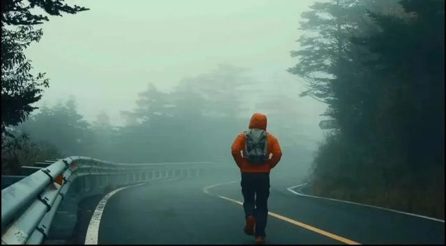 在雨中的神农架，遇见云山雾海、迷雾森林