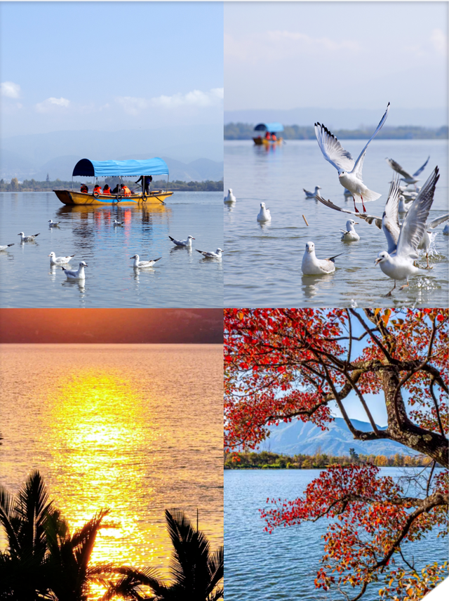 【冬季暖阳 凉山不凉】冬日打卡热榜！凉山，才是这个冬天的顶流之选