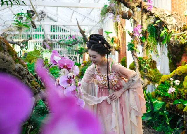 这么近，那么美！