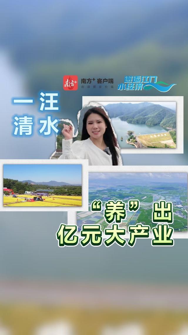 咖啡、露营、夜游船！7期视频解锁江门水畔N种惬意