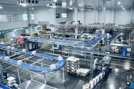 马铃薯化身“金疙瘩” 推动产业大发展图片