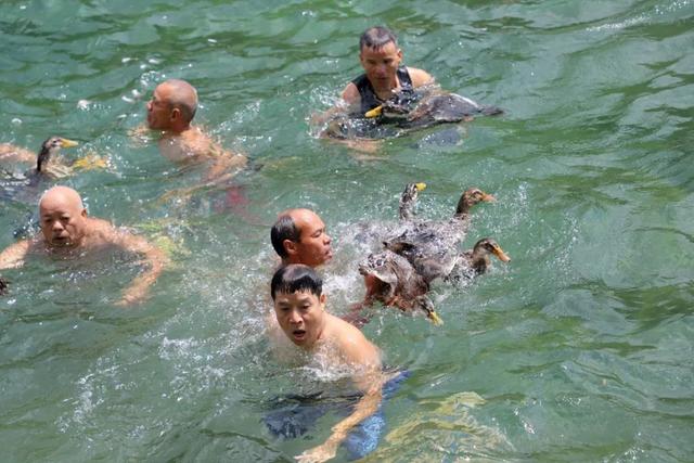 粤桂协作丨千人水中抢鸭 融水农文旅再掀热潮