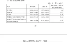 紫金矿业一季度净利破百亿 矿产品增产叠加金属涨价红利释放图片