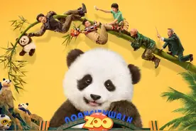 《熊猫计划》国庆热映 导演张栾：与成龙大哥拍动作戏就像“开盲盒”图片
