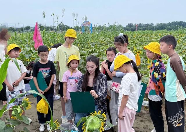 金秋艺术新地标！平谷金色葵海等你来打卡
