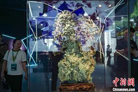 中外矿藏名石齐聚南京展“晶”彩图片