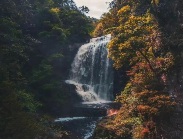 元旦登高祈福！大明山抽大奖，特价门票限时抢，新年好运“登”上来！