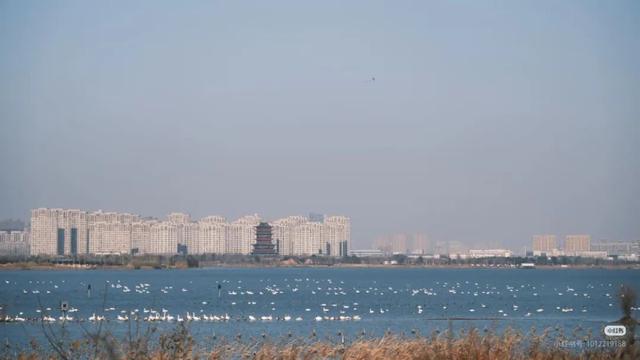 又到周末！来一场邂逅惊喜的冬日Citywalk