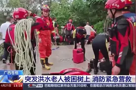 突发洪水老人被困树上 消防成功营救图片