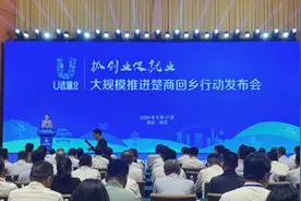 楚商回乡投资掀热潮 端午期间超60亿项目签约湖北图片