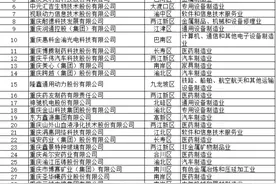 百强研发费用总额达173亿！2024重庆民营企业科技创新指数100强发布图片