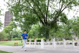 北京通州350岁“塔榆”成大运河畔活文物图片