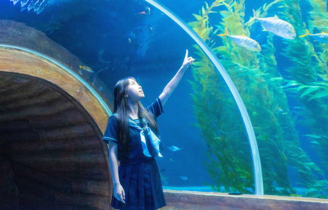 桂林融创乐园海世界，这样玩！