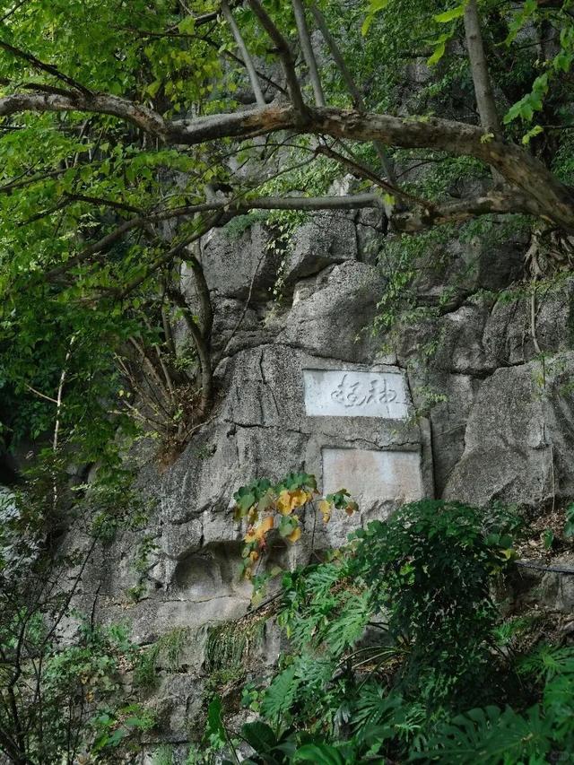 虞山公园|桂林的“园林公园”，一步一景