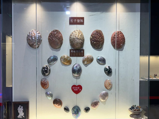 蔚蓝新机  |  “宝藏”海岛旅行手册：天天“住别墅”、年年都“度假”  这里的鲍鱼很鲜美
