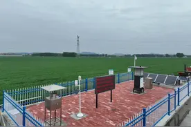 肥城洼里村：从“望天收”到“吨半粮”图片