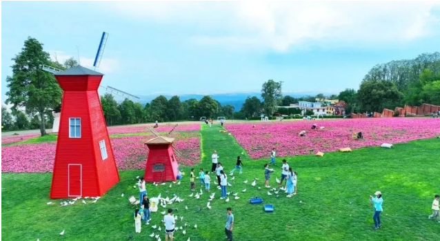 清凉一夏游云南，这些避暑“宝地”等你来打卡！