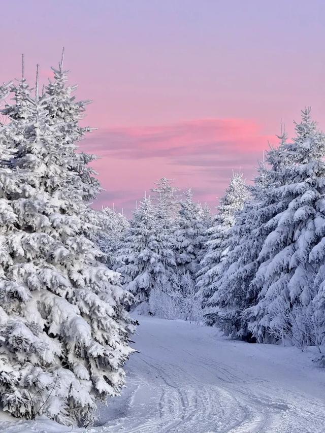 升咖版安图即将上线！N种冬日诗意美景等你打卡