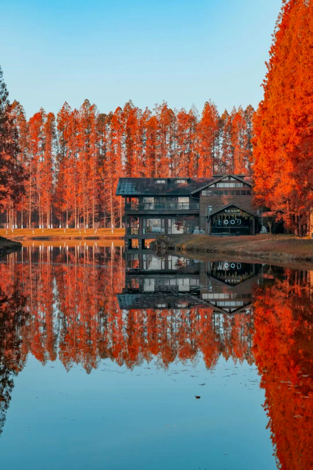 省里又点名了，还是东台