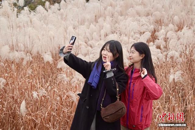 浙江杭州良渚古城遗址公园冬日美景吸引游人