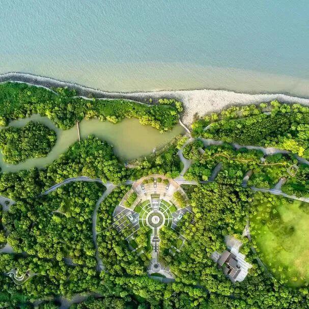 邂逅“醉”美河口，探秘宝山滨江湿地