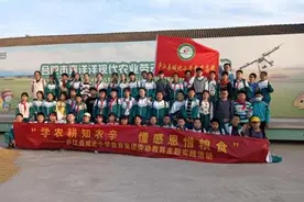 学农耕知农辛，懂感恩惜粮食——庐江县城北小学开展劳动教育主题实践活动图片