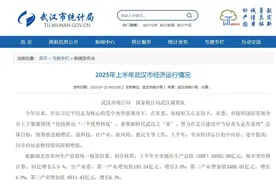 2025年上半年武汉市经济运行情况图片
