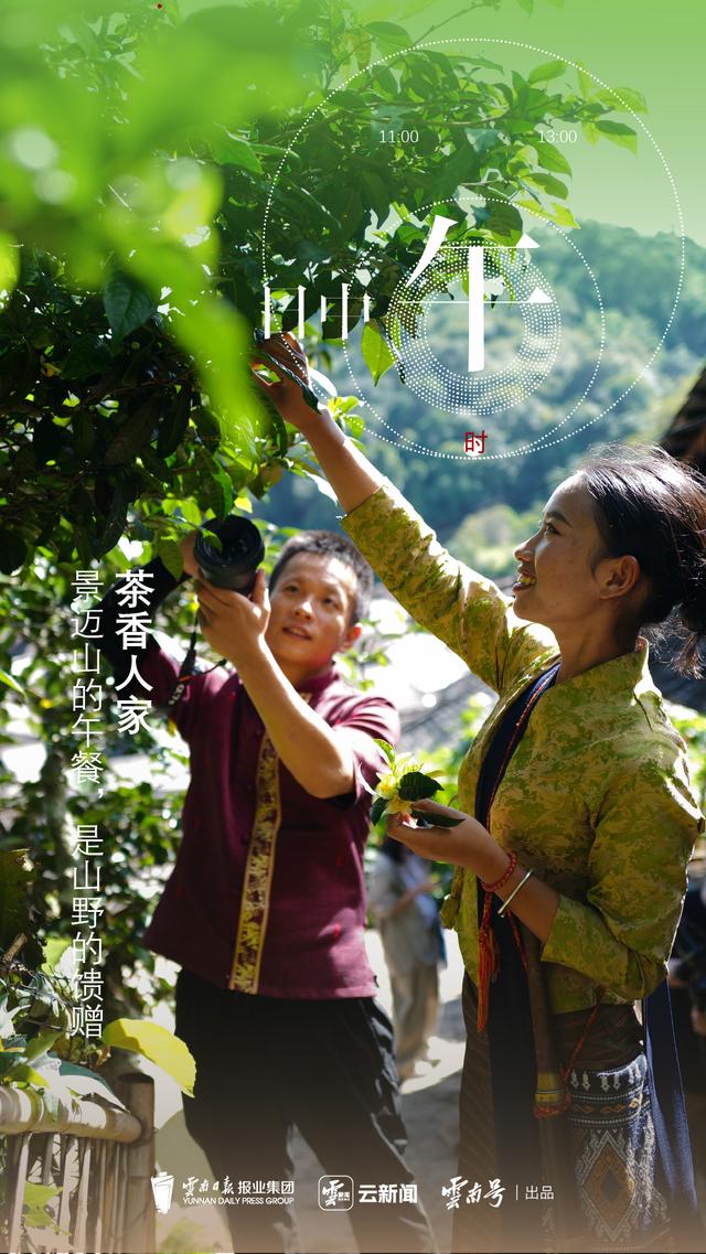 云新闻策划丨景迈山十二时辰：山中无历，茶语为时