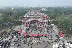 游人如织！菏泽6家牡丹园单日游客量超28万人次图片