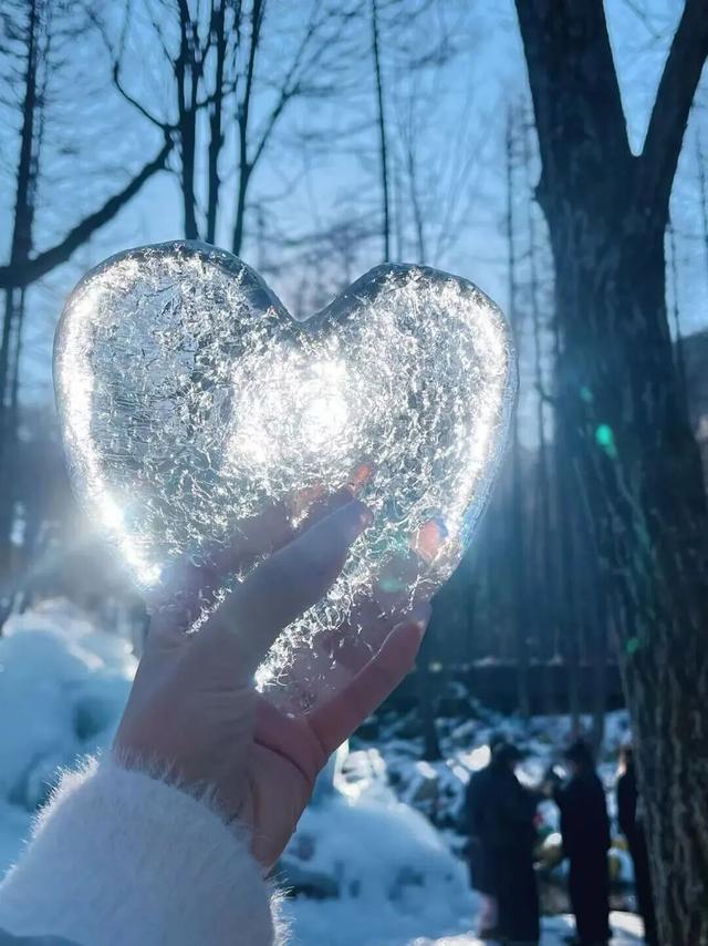 白云山今日开园！邀你共赏神仙雪景