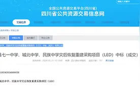 采购价是外省的七倍！不止石棉希望小学，还有其他学校招标也说不清图片