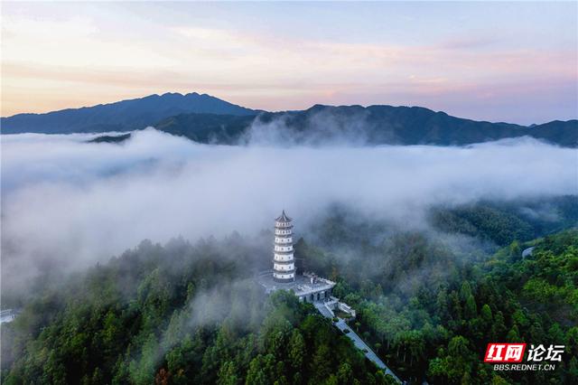 【每日一图@湖南】云雾是山林的呼吸，文峰塔是靖州的心跳