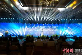“中国白茶之乡”福建福鼎举办白茶冬藏节图片
