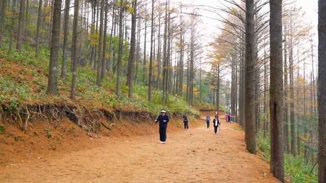 Hi走奉化① | 来栖霞坑，奔赴一场唐诗之路的千年约会吧！